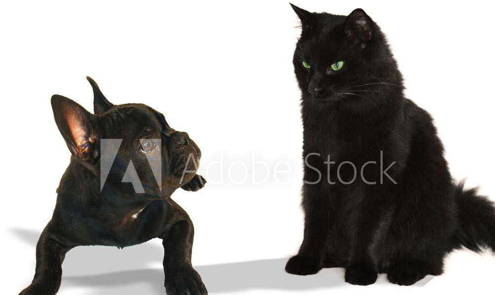 Awesome Image